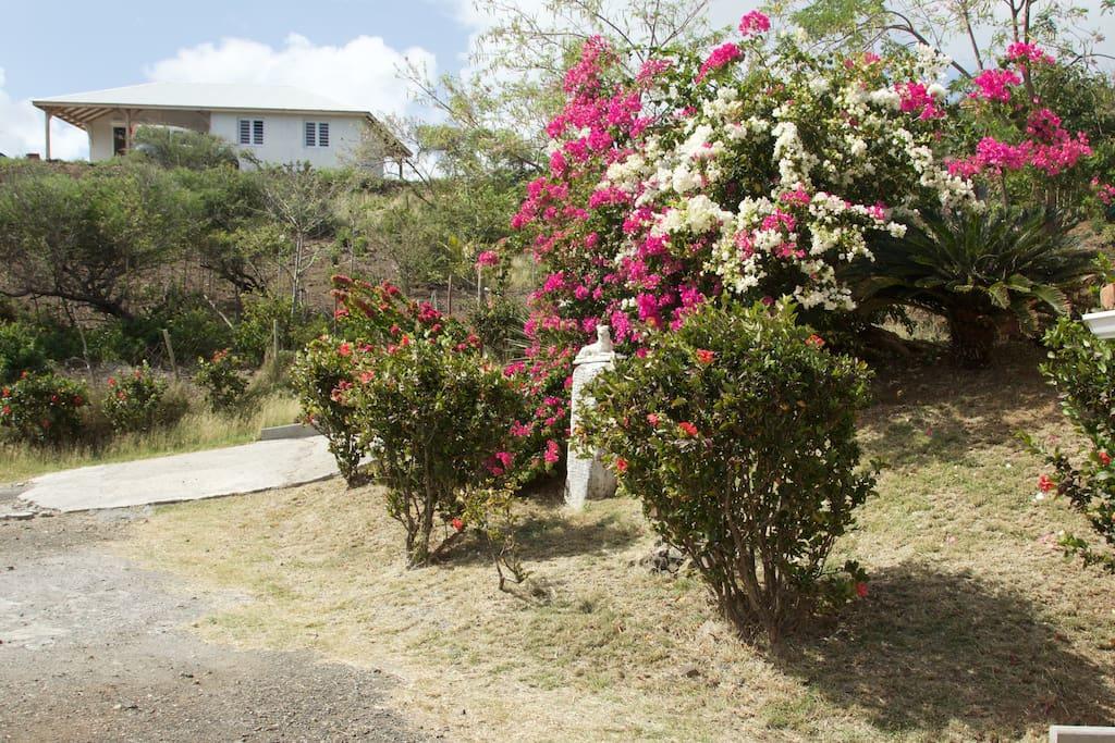 Appartement Vacances Goyave Cap Chevalier ภายนอก รูปภาพ