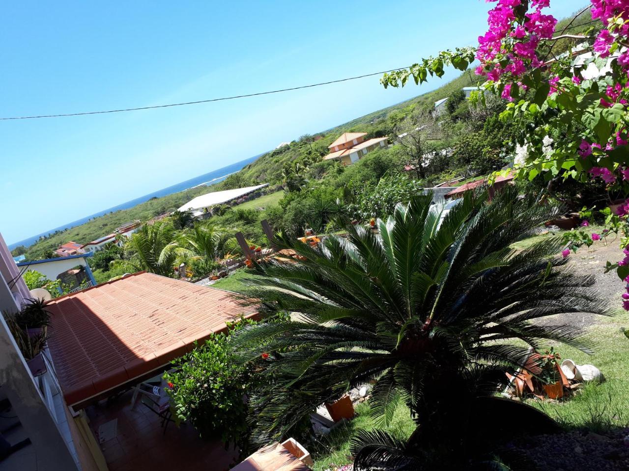 Appartement Vacances Goyave Cap Chevalier ภายนอก รูปภาพ